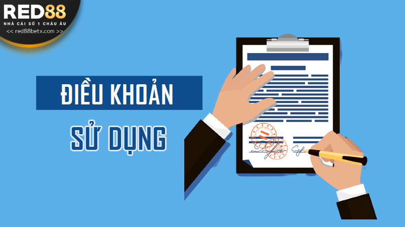 Điểm qua một số nội dung chi tiết mới chuẩn nhất newbie nên xem 