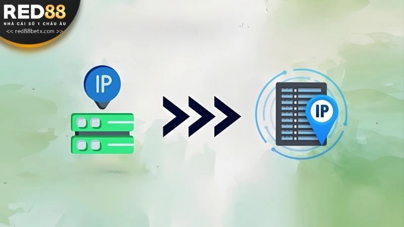 Fake IP qua quốc gia khác để vào  trang cược dễ dàng